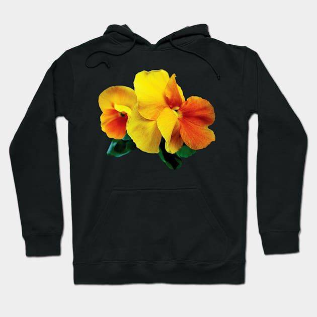 Pansies - Bright Yellow and Orange Pansies Hoodie by SusanSavad